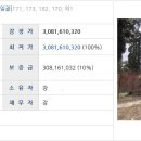 서호동-51 Daum카페