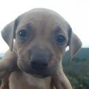 안락1동-6 이미지