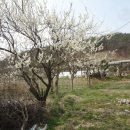 관동마을회관 이미지