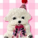 멍멍님수라상 이미지