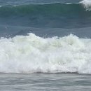 부 산 항 구 이미지