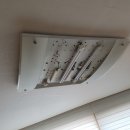 커피베이 부천벚꽃마을점 이미지