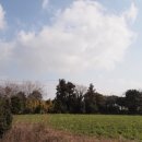 해룡 민박 이미지