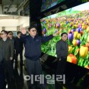 엘지디스플레이(주) P10