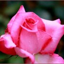 대공원역2번출구 이미지