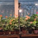 작은한개 이미지