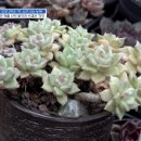 혜란농장 이미지