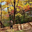 노량진근린공원 고구동산 이미지