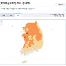 당분간 조심해야 할 꽃가루(전국 꽃가루농도위험지수) 이미지