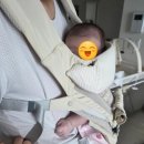 적정온도 | D+34 육아일기 ㅣ 아이엔젤 아기띠 당근, 신생아 적정 온도, 에어컨 가림막 사용 후기