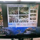 주식회사 주엘 | 고잔동 두피관리 후기💆‍♀️ 시원함이 남다른 주식회사 인첸시아 두피명가 본점 방문기