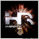 하이브리 이미지