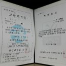 부평하나용인대태권도장 이미지