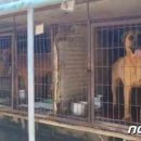 김경현농장 이미지