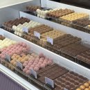 코엑스 디저트 선물 레더라 파르나스몰 스위스 프리미엄 초콜릿 종류 가격 후기