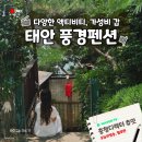 태안 여행 가성비 숙소 풍경펜션 카약과 전동스쿠터, 야키토리가 있는 1박2일 아련나래 객실 후기
