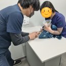 서창사랑동물의료센터 이미지