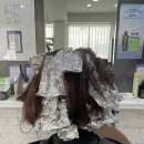 남촌행복커뮤니티센터 | 남촌 EBS 커뮤니센터 30~50대 새치염색 만족도 1위 하이라이트 새치커버