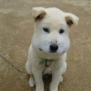 레나의원 이미지