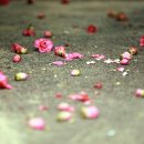 연지공원(북) 이미지