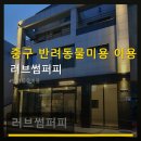 러브썸퍼피
