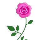 고맙습니다 감사합니다 사랑합니다 이미지