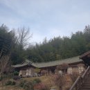 다도 숲으로 민박 이미지