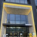 캣플 헤븐 대구 동성로점 | 대구 동성로 신상 고양이카페 천국 같았던 캣플헤븐