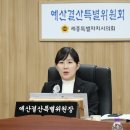 세종특별자치시의회 이미지