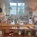 동성고등공민학교 | 부산 전포 실내 애견동반 뜨개카페 니틴 nittin 후기