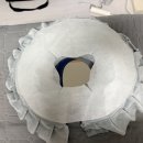 드몽 | 조리원 퇴소 후 산후관리는 [드몽아레] 산전산후출장마사지로