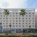 맹그로브 제주시티 이미지