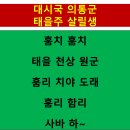 대시국 의통군 태을주 살릴생 이미지