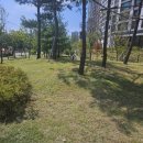 완충녹지12호 이미지