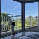 수목정 | 아기랑 여름제주1 : 모던돔베국수, 곽지해수욕장, 집의기록상점, 삼겹살맛집 흑도니 / 소노캄제주