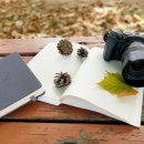 [1급과정] 독서지도사 1급 이미지