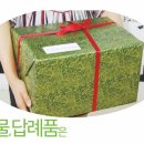 오렌지광고 이미지
