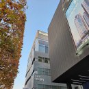 양희은 콘서트 | [제8회 항암치료의 날, 대한종양내과학회와 함께하는 양희은의 공감콘서트] 다녀온 후기