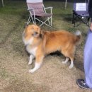 카닥터모터스 이미지