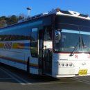 정동진새꼬시 이미지