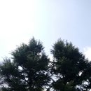 세븐일레븐 대구봉덕점 | 대구, 두류공원