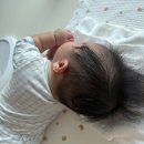 할락 | [ 육아일기 ] 생후 101 ~ 125일차 뒤집기 할락말락 밀당중