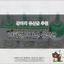 강아지유산균 추천 : 라파엘 더자연 유산균