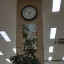 구지로 이미지