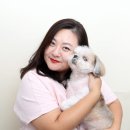 이츠독 이미지