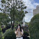 홀리호랑 | [제주도] 에어비앤비 감성 독채 돌담 숙소 '홀리호랑2' 내돈내산 후기