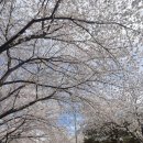 입곡군립공원(주차장옆) 네이버블로그