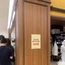 대전 롯데백화점 망고시루케이크 내돈내산 후기 / 주말 웨이팅 현실