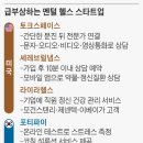 마음헬스 조선일보