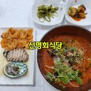 묵호시장 | 묵호항 횟집 선명회식당 묵호시장 혼밥 식당 후기